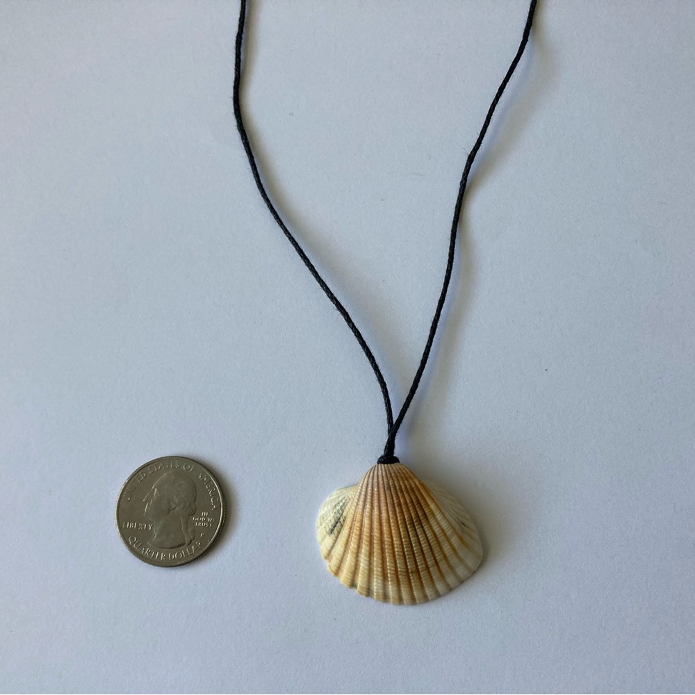 Shell Pendant Necklace with Black Cord